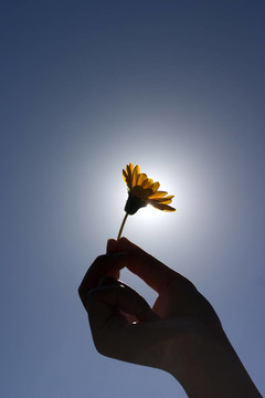拿著花