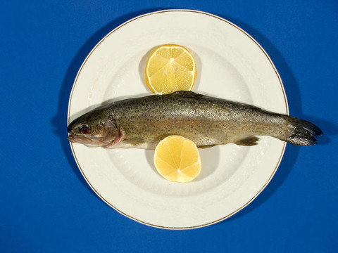 魚(yú)