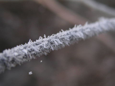 Hoar frost 5