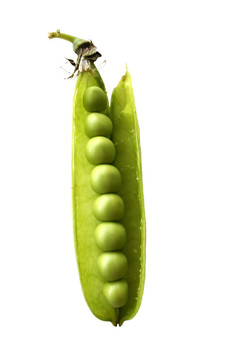 豌豆