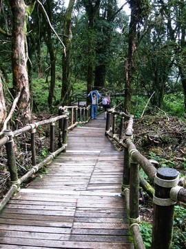 老平臺(tái)