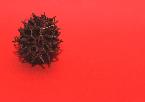 紅色彗星