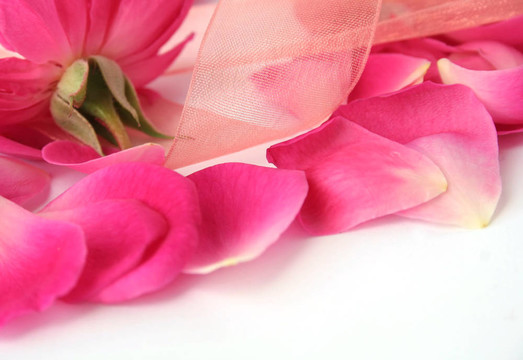 花瓣和花邊