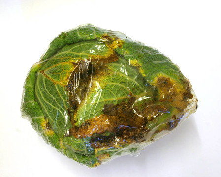 白菜爛