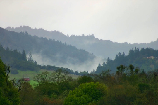 朦朧的山坡上