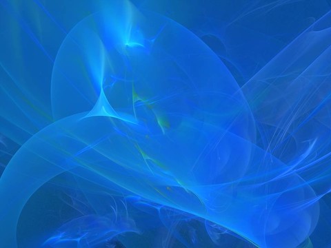 海豚