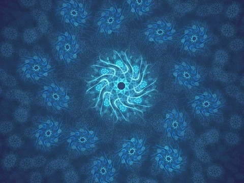 給菊花的毯子