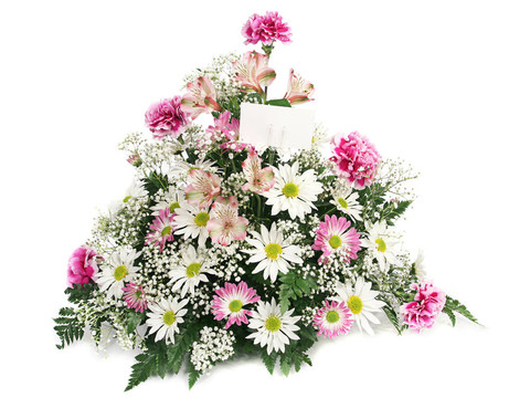 春花帶卡