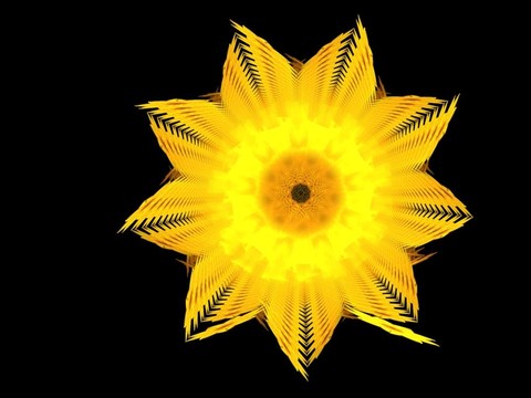 水仙花