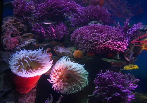 水族館