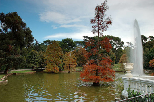 秋天的公園