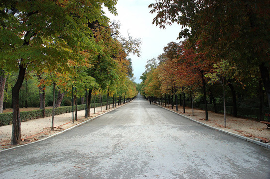 公園的小徑