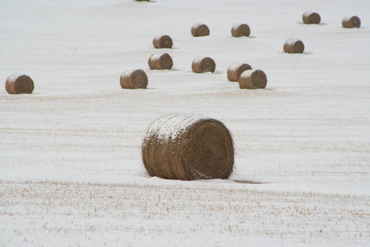 雪包