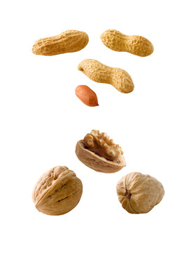堅(jiān)果