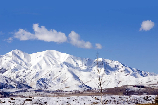 山在冬季