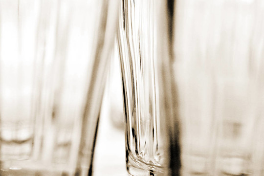 烏賊glasses1；一些糧食