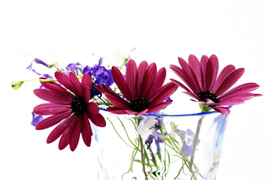 flowers3