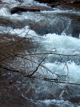 范campen-2