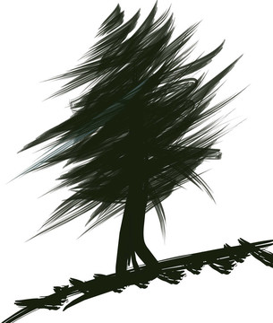 樹