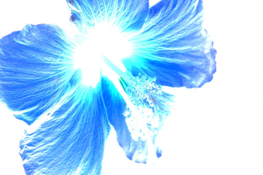 倒花