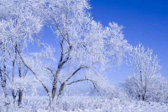 冬季景觀