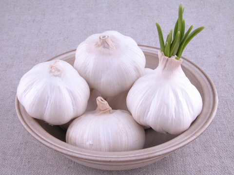 大蒜