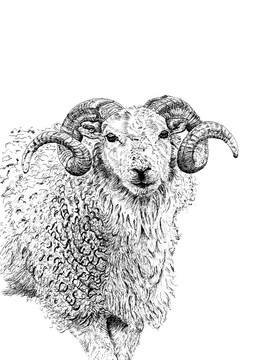 RAM