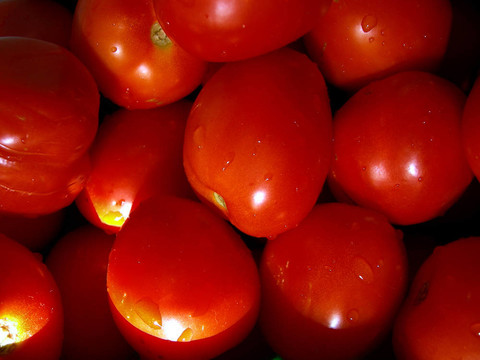 西紅柿