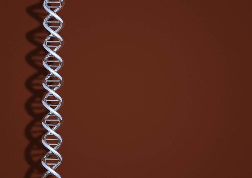 Chrome的DNA