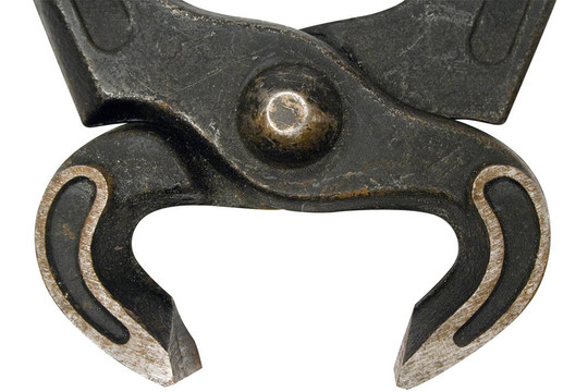 Black Pincer（結(jié)束）