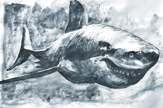 手繪鯊魚插畫