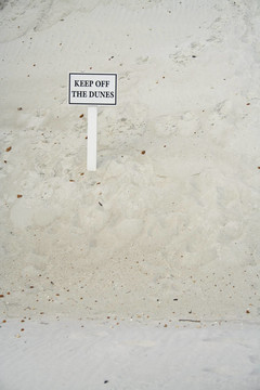 dunesign2