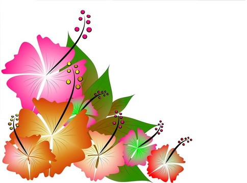 熱帶的軟硬件平臺(tái)及動(dòng)態(tài)網(wǎng)絡(luò)體系