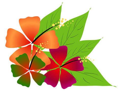 熱帶的軟硬件平臺(tái)及動(dòng)態(tài)網(wǎng)絡(luò)體系