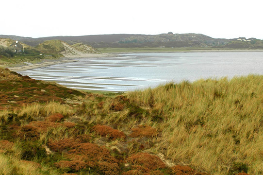 tideland2