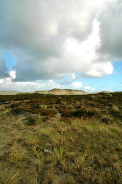 dunescape1