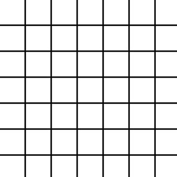 白色大黑色格子