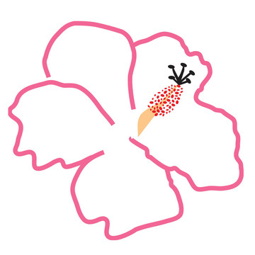 粉紅色的芙蓉花
