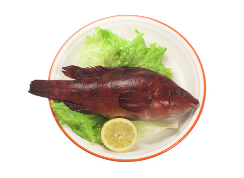 紅色的魚