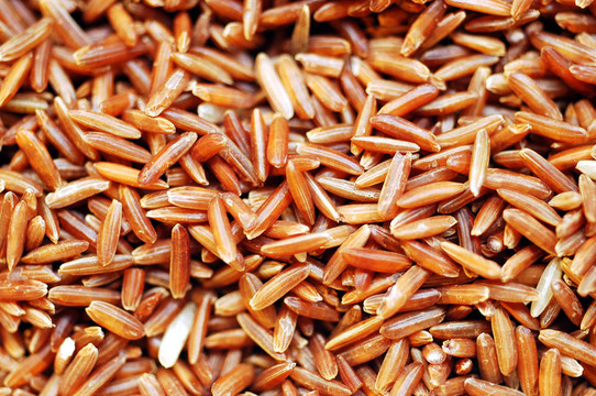 Brown Rice顆粒