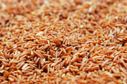 Brown Rice顆粒