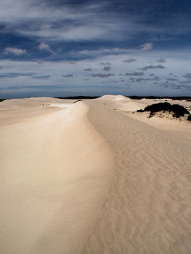 Dune之頂