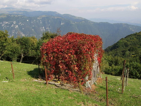 高山小屋2