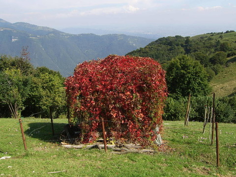 山小屋