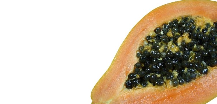 多汁的木瓜