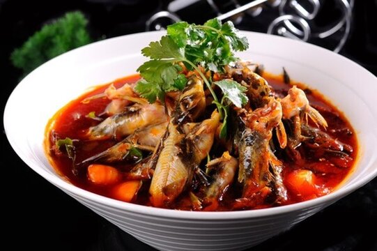 陽光黃辣丁