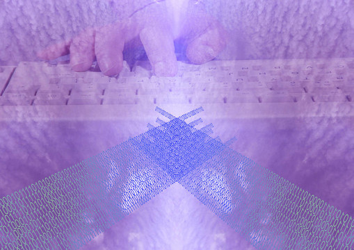 網(wǎng)絡(luò)咬人