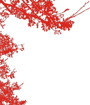 花的輪廓