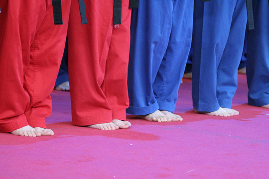 教學(xué)Kung Fu