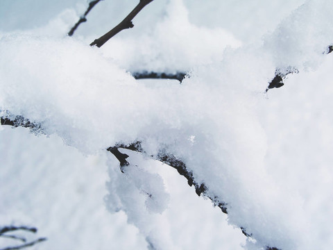 在早午餐4雪